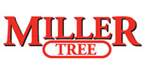 Miller Tree
