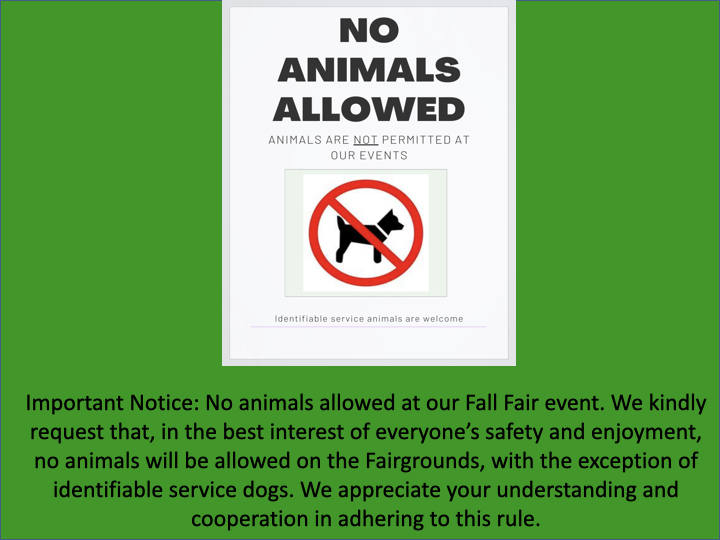 No Animals Allowed